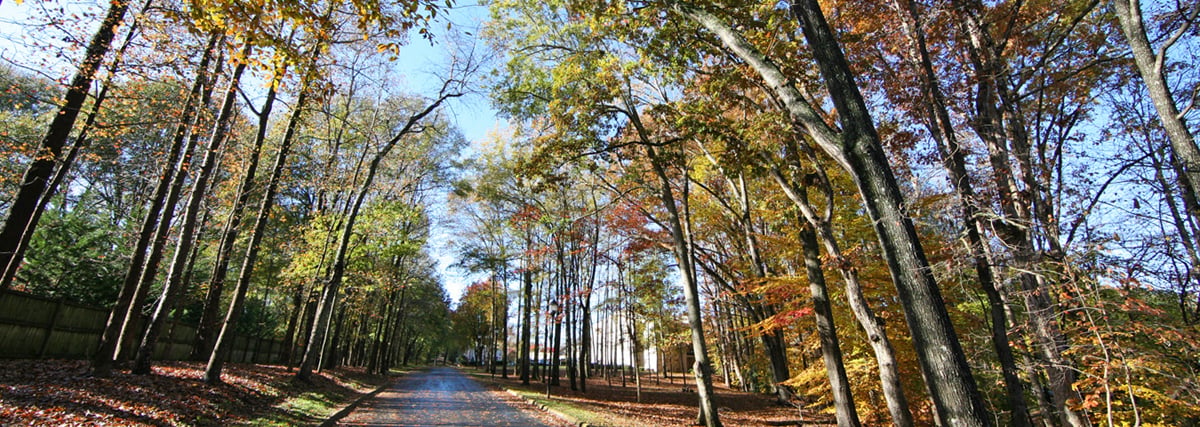 Country Club Apartments